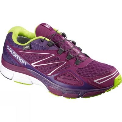 Zapatillas Running Salomon X-Scream 3D GTX Mujer - Moradas / Verde - Chile NST107584